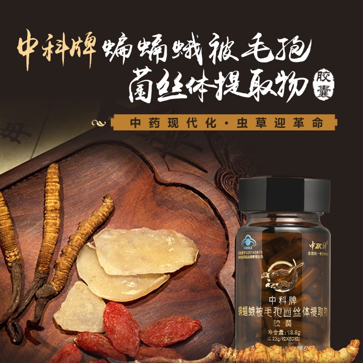 中科牌蝙蝠蛾被毛孢菌丝体提取物胶囊