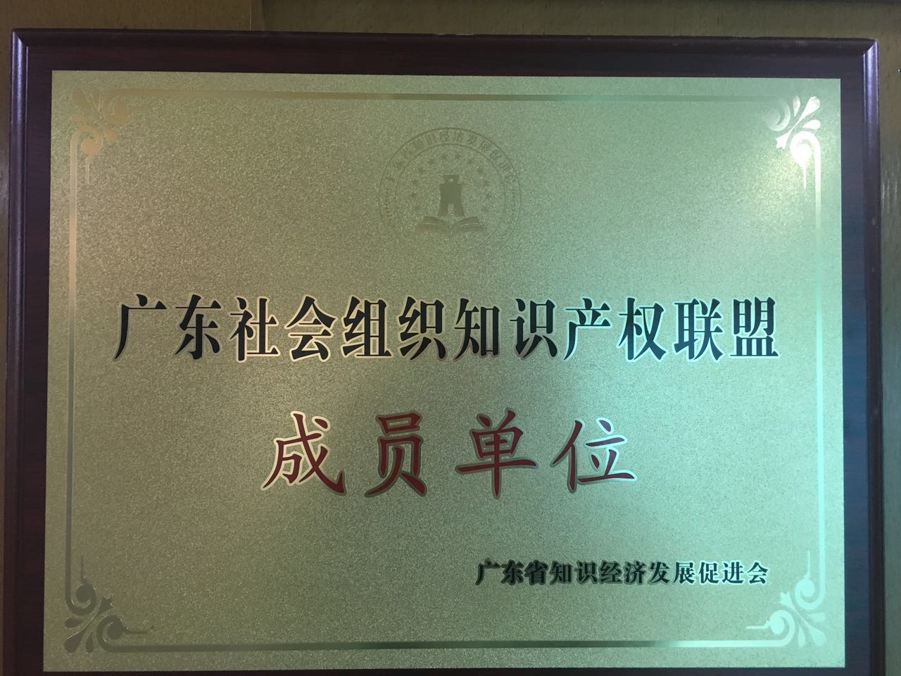 广东社会组织知识产权联盟会员单位